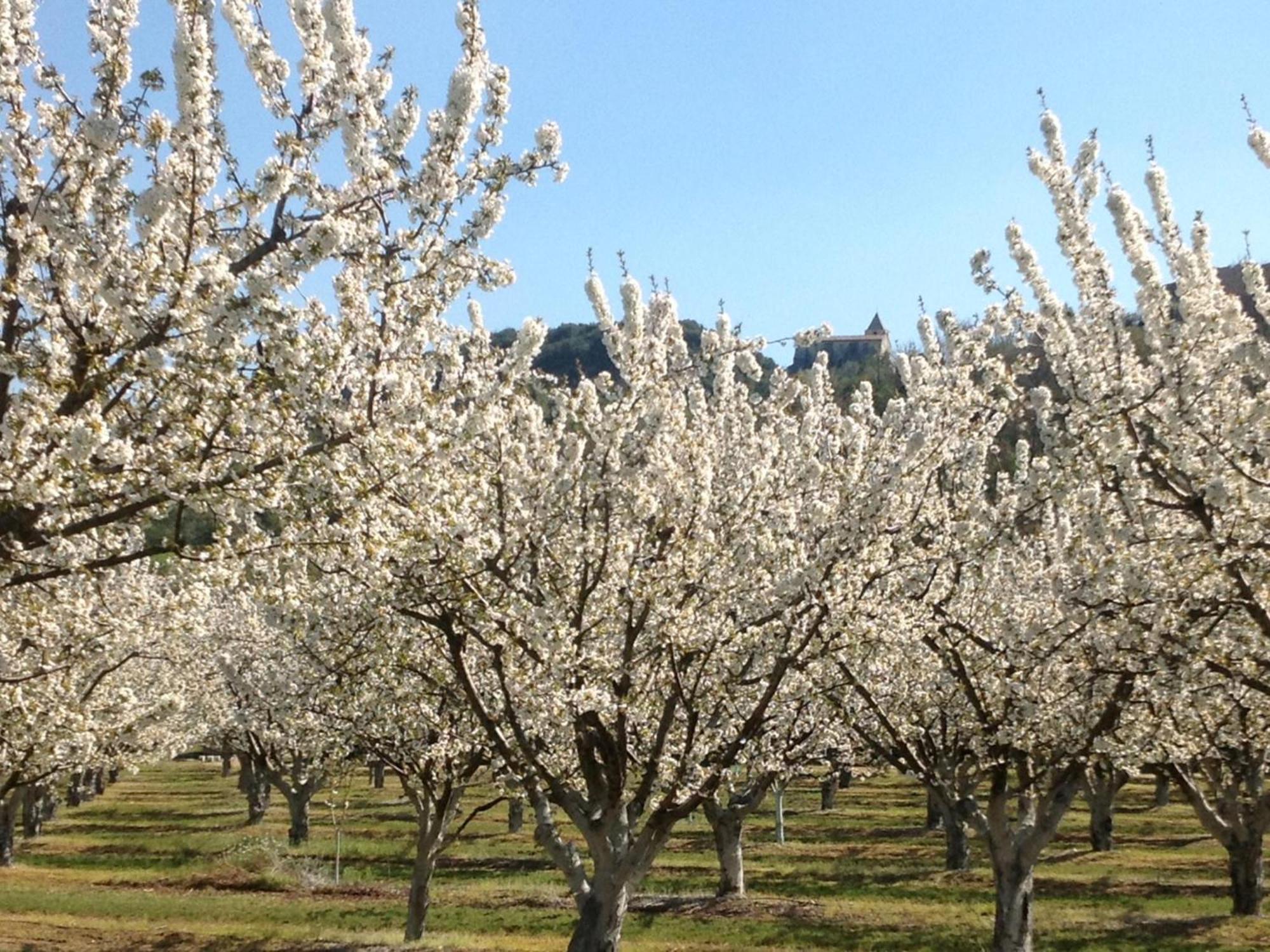 Villa Bellegarde Saignon Esterno foto