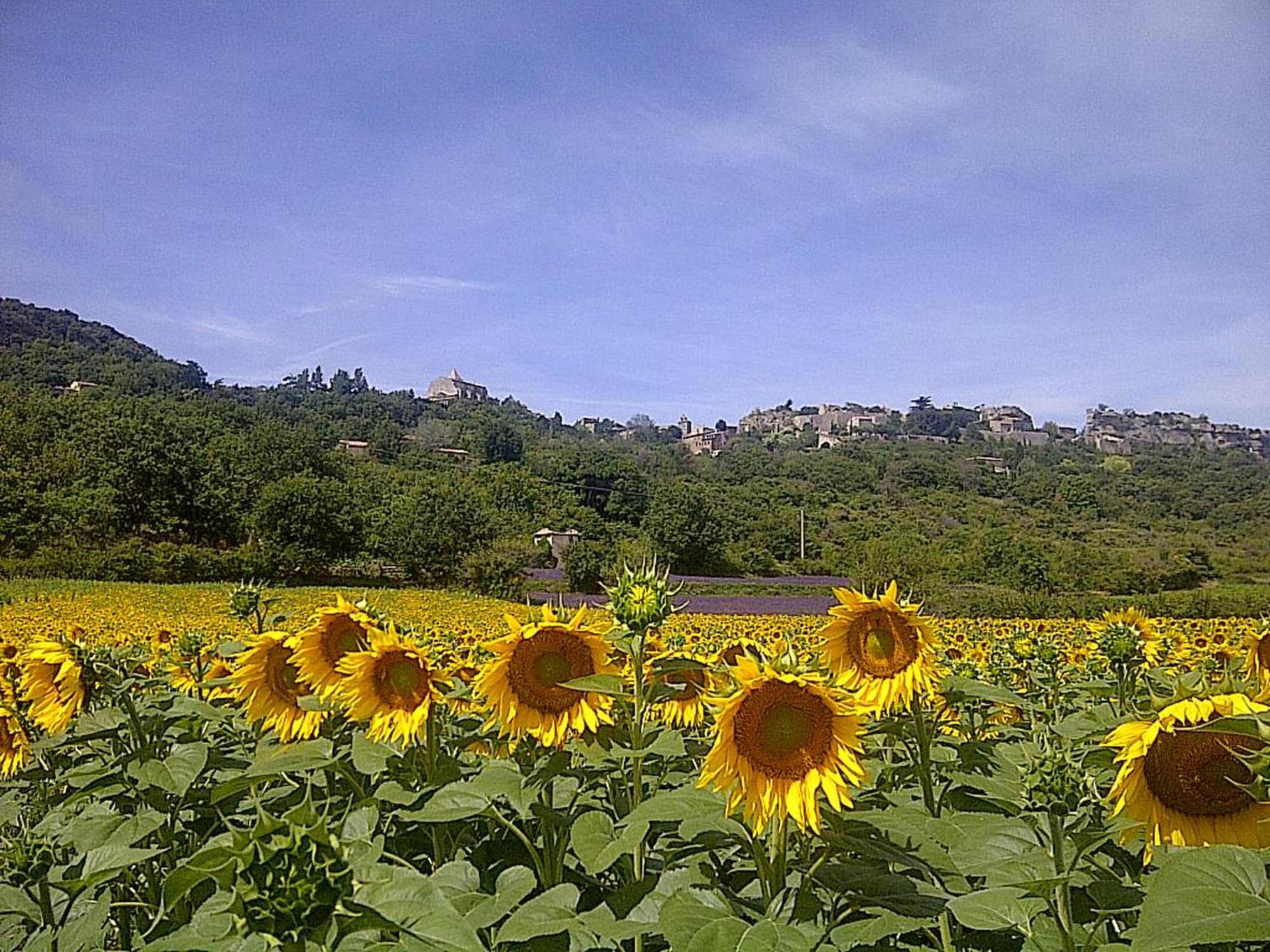 Villa Bellegarde Saignon Esterno foto